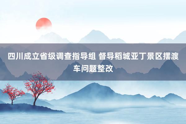 四川成立省级调查指导组 督导稻城亚丁景区摆渡车问题整改