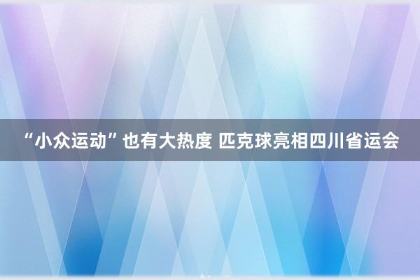 “小众运动”也有大热度 匹克球亮相四川省运会