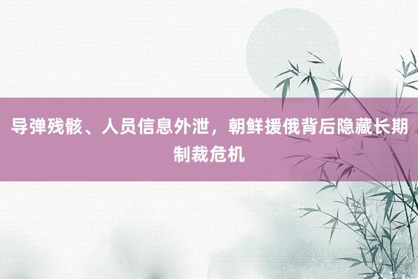 导弹残骸、人员信息外泄，朝鲜援俄背后隐藏长期制裁危机
