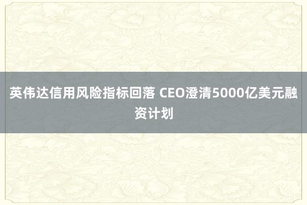 英伟达信用风险指标回落 CEO澄清5000亿美元融资计划