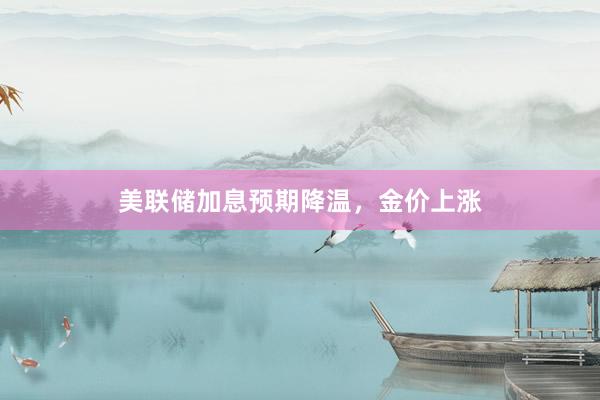 美联储加息预期降温，金价上涨