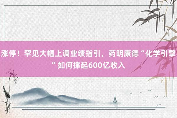 涨停！罕见大幅上调业绩指引，药明康德“化学引擎”如何撑起600亿收入