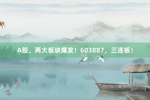 A股，两大板块爆发！603887，三连板！