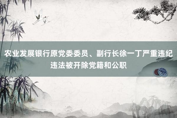 农业发展银行原党委委员、副行长徐一丁严重违纪违法被开除党籍和公职