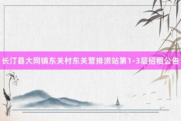长汀县大同镇东关村东关营排涝站第1-3层招租公告