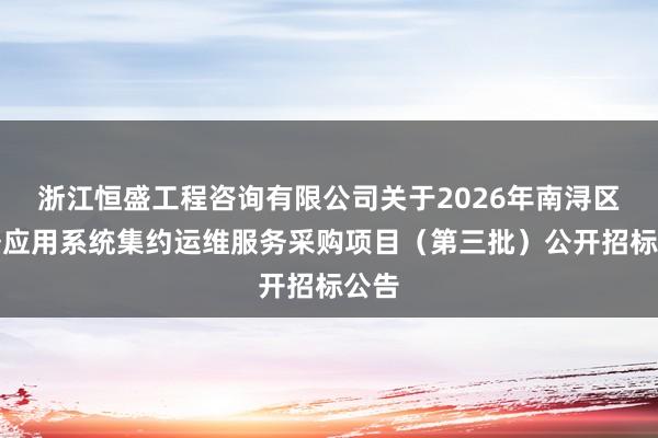 浙江恒盛工程咨询有限公司关于2026年南浔区政务应用系统集约运维服务采购项目（第三批）公开招标公告