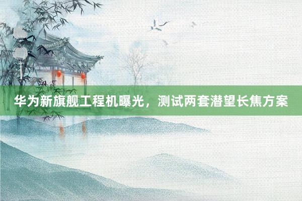 华为新旗舰工程机曝光，测试两套潜望长焦方案