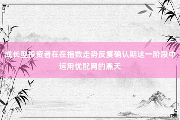 成长型投资者在在指数走势反复确认期这一阶段中运用优配网的黑天