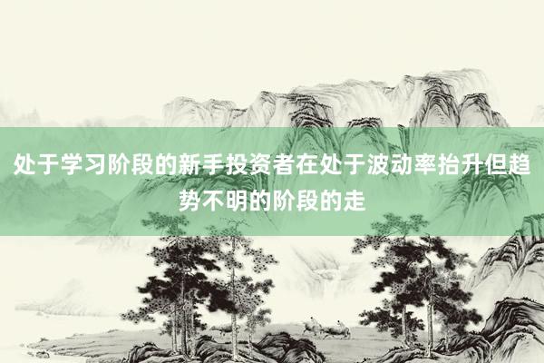 处于学习阶段的新手投资者在处于波动率抬升但趋势不明的阶段的走