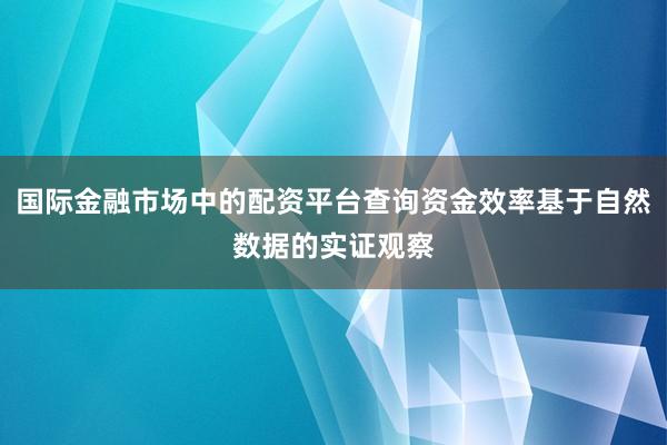 国际金融市场中的配资平台查询资金效率基于自然数据的实证观察