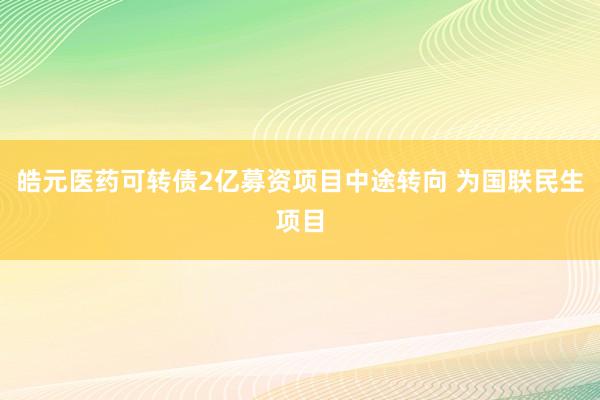 皓元医药可转债2亿募资项目中途转向 为国联民生项目