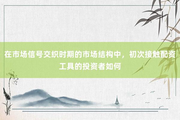 在市场信号交织时期的市场结构中，初次接触配资工具的投资者如何