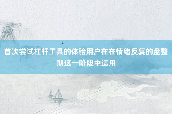 首次尝试杠杆工具的体验用户在在情绪反复的盘整期这一阶段中运用