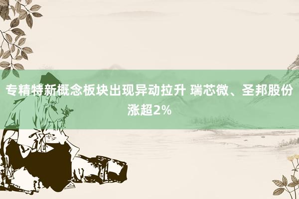 专精特新概念板块出现异动拉升 瑞芯微、圣邦股份涨超2%