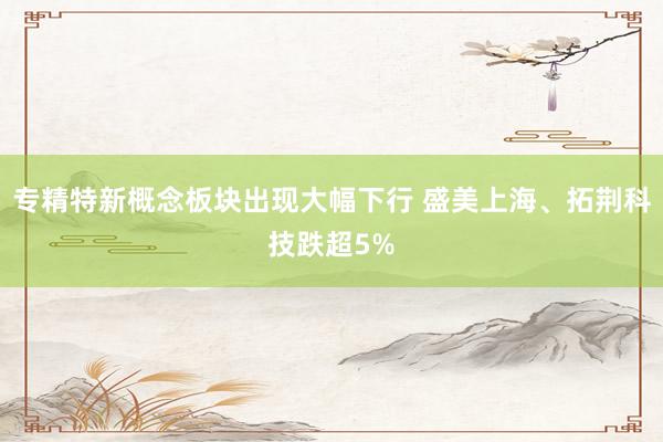 专精特新概念板块出现大幅下行 盛美上海、拓荆科技跌超5%
