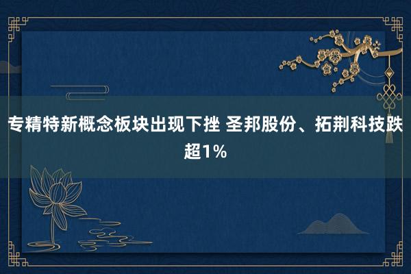 专精特新概念板块出现下挫 圣邦股份、拓荆科技跌超1%
