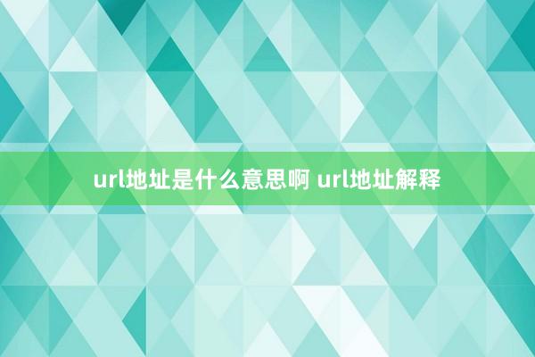 url地址是什么意思啊 url地址解释