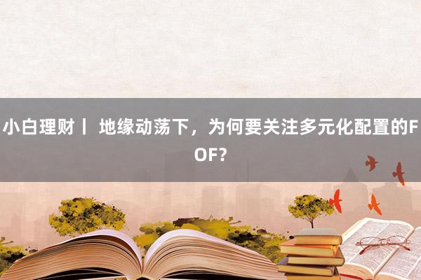 小白理财丨 地缘动荡下，为何要关注多元化配置的FOF？