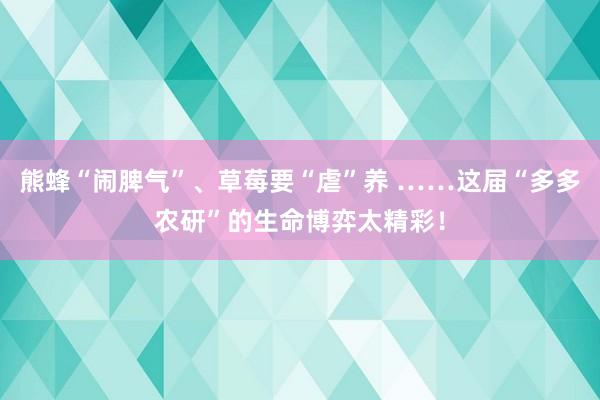 熊蜂“闹脾气”、草莓要“虐”养 ……这届“多多农研”的生命博弈太精彩！
