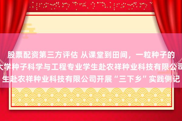 股票配资第三方评估 从课堂到田间，一粒种子的十日躬行——山东农业大学种子科学与工程专业学生赴农祥种业科技有限公司开展“三下乡”实践侧记