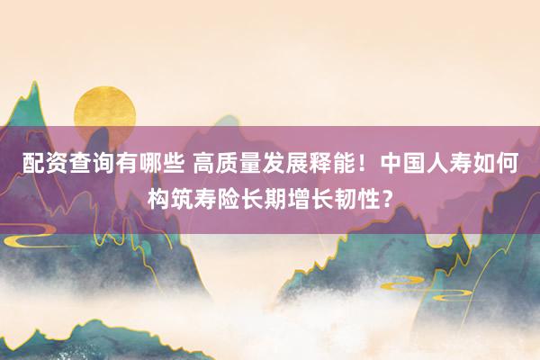 配资查询有哪些 高质量发展释能！中国人寿如何构筑寿险长期增长韧性？