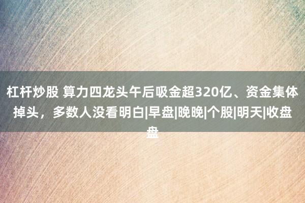 杠杆炒股 算力四龙头午后吸金超320亿、资金集体掉头，多数人没看明白|早盘|晚晚|个股|明天|收盘