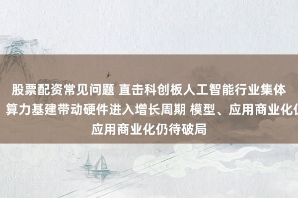股票配资常见问题 直击科创板人工智能行业集体业绩会：算力基建带动硬件进入增长周期 模型、应用商业化仍待破局