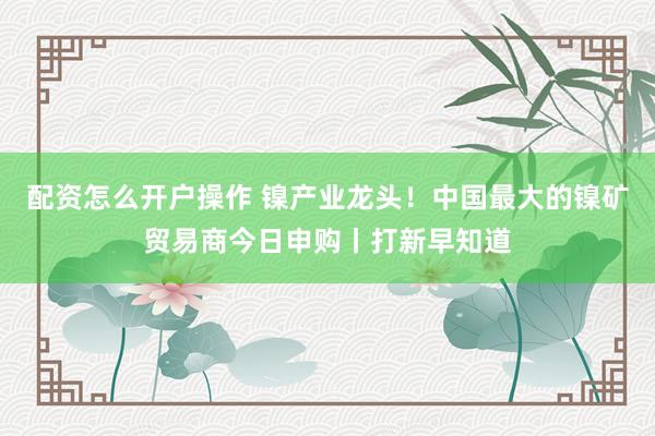 配资怎么开户操作 镍产业龙头！中国最大的镍矿贸易商今日申购丨打新早知道