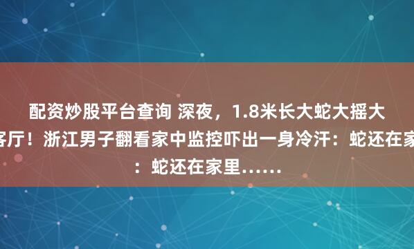配资炒股平台查询 深夜，1.8米长大蛇大摇大摆爬过客厅！浙江男子翻看家中监控吓出一身冷汗：蛇还在家里……
