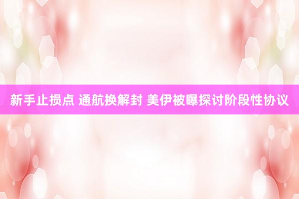 新手止损点 通航换解封 美伊被曝探讨阶段性协议