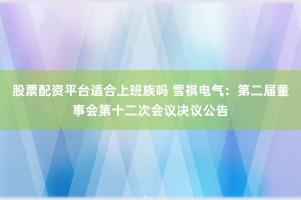 股票配资平台适合上班族吗 雪祺电气：第二届董事会第十二次会议决议公告