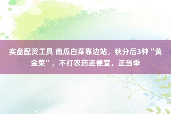实盘配资工具 南瓜白菜靠边站，秋分后3种“黄金菜”，不打农药还便宜，正当季