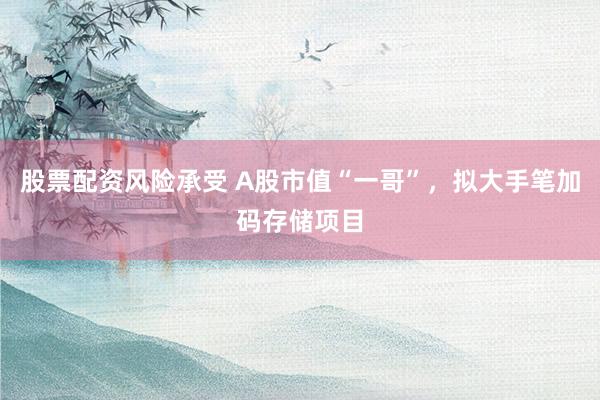 股票配资风险承受 A股市值“一哥”，拟大手笔加码存储项目