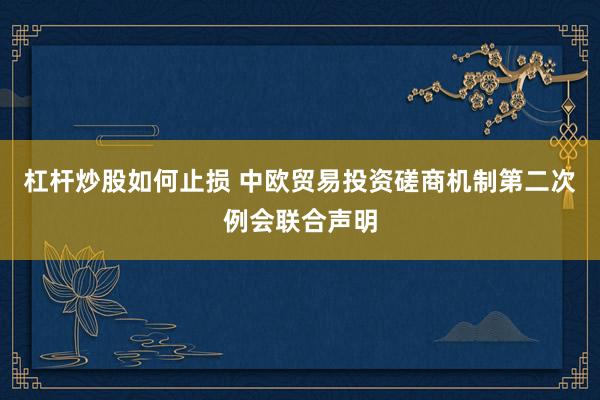 杠杆炒股如何止损 中欧贸易投资磋商机制第二次例会联合声明