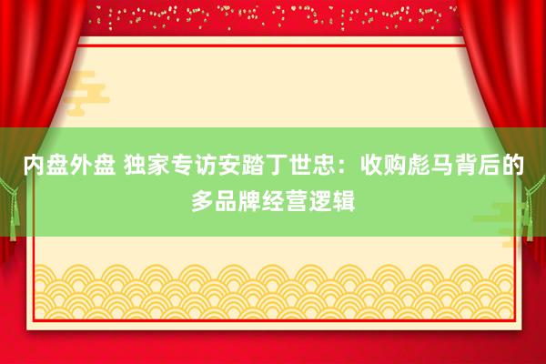 内盘外盘 独家专访安踏丁世忠：收购彪马背后的多品牌经营逻辑